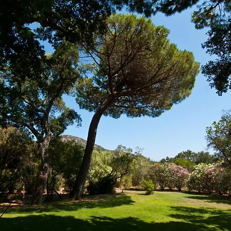 Les Lieges De Palombaggia * Porto Vecchio