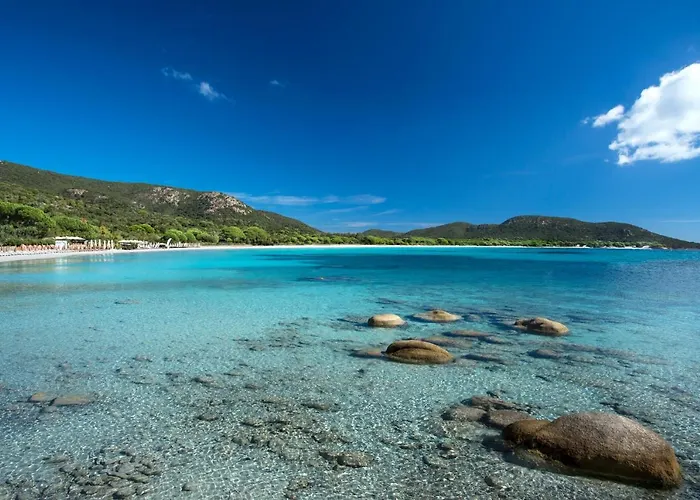 Les Lieges De Palombaggia