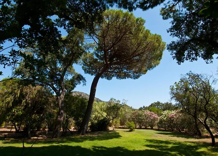 Les Lieges De Palombaggia * Porto-Vecchio (Corsica)