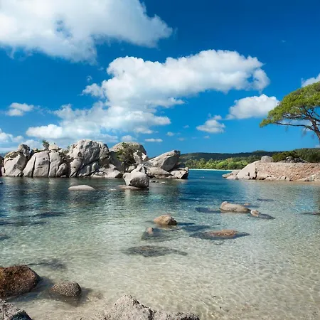 Les Lieges De Palombaggia *
