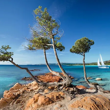 Village de vacances Les Lieges De Palombaggia Porto-Vecchio (Corsica)