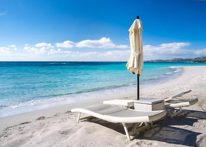 Les Lieges De Palombaggia